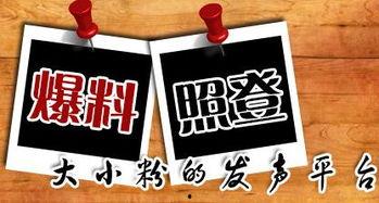 中山新闻爆料平台,聚焦民生热点,共筑和谐家园 第2张 中山新闻爆料平台,聚焦民生热点,共筑和谐家园 第2张